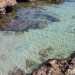 Nascoste e poco frequentate queste spiaggette rappresentano dei veri angoli di paradiso